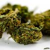 New Congressional Bill Aims To Keep Feds From Prosecuting Marijuana Users In Legal Pot States
